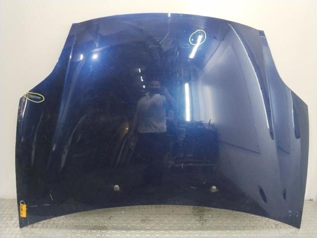 Capot Fiat Bravo II (198)
