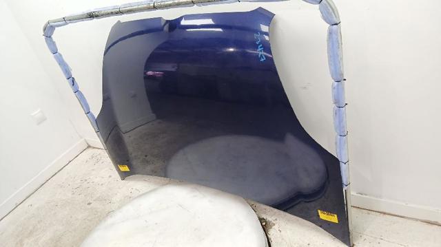 FIAT 51810378 Capó  comprar en Ponferrada