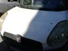 Capó y piezas 51810378 FIAT