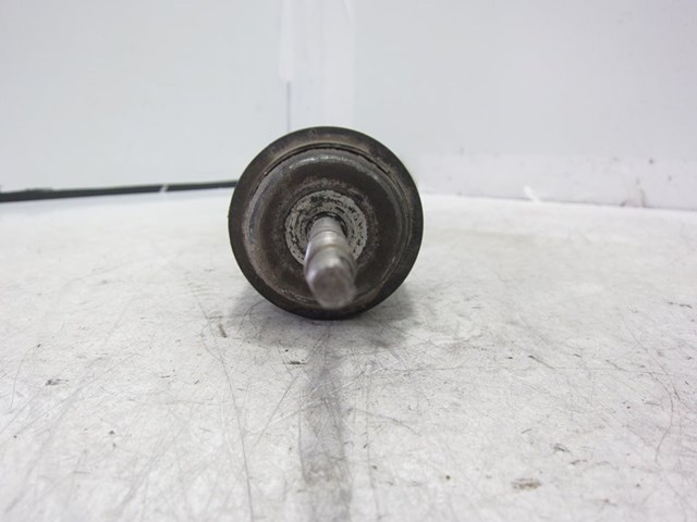 51831651 FIAT Amortiguador trasero  disponible Vigo