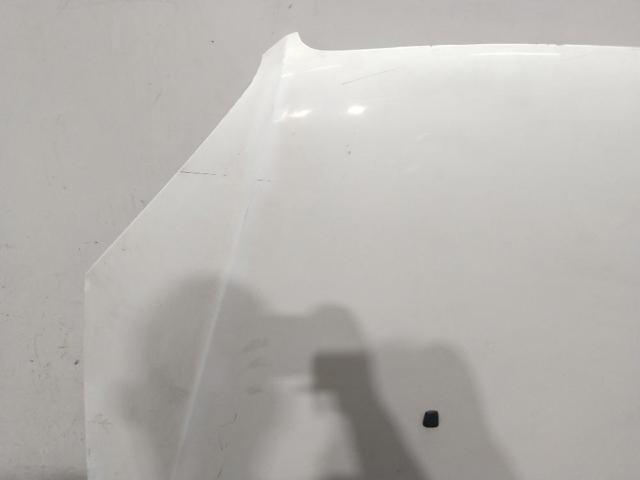 FIAT 51841326 Capó  comprar en Albacete