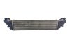 Radiador de intercooler 51887954 FIAT