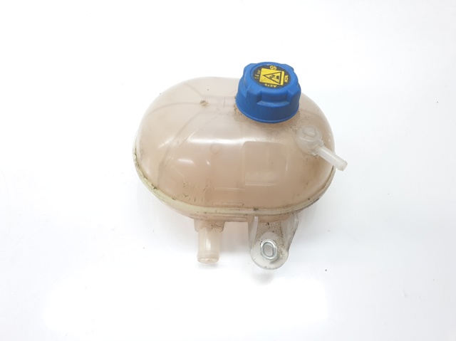 Botella de refrigeración Fiat 500 312