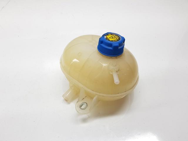 Botella de refrigeración Fiat 500 312