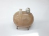 Botella de refrigeración Fiat 500 312