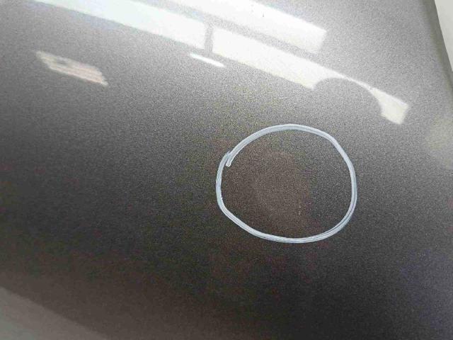 52009424 FIAT Capó  en stock Córdoba