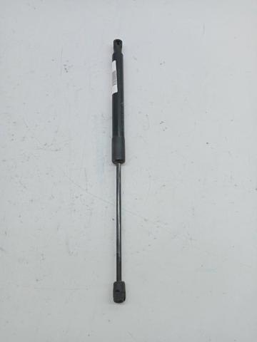 Amortiguador maletero para Fiat 500 334
