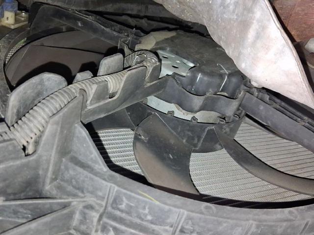 Ventilador, refrigeración motor 52108824 FIAT