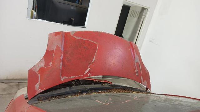 533010D080 TOYOTA Capó  comprar en Jaén