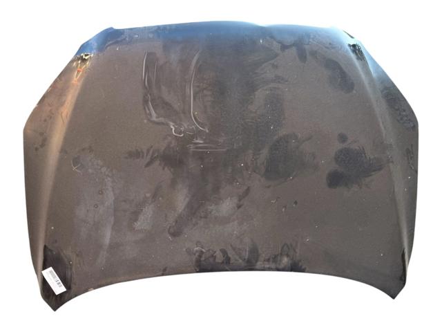 Capot para Toyota RAV4 III (A3)