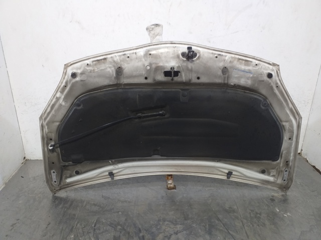 TOYOTA 5330147060 Capó  en stock Salamanca