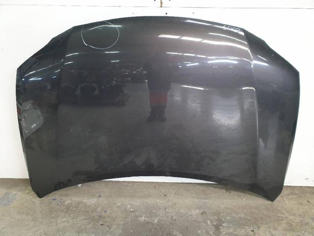 Comprar Capó Lexus RX  AGL10, GGL15, GYL15 a bajo precio