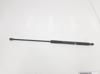 Muelle neumático, tapa delantera 534400W220 TOYOTA