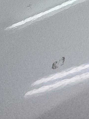 Aleta delantera izquierda Toyota Corolla E12