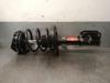 Amortiguadores 543020016R RENAULT