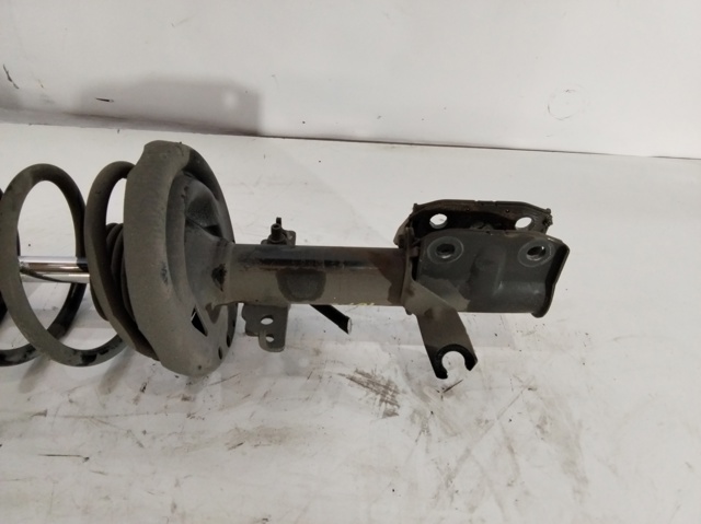RENAULT 543020017R Amortiguador  en stock Salamanca