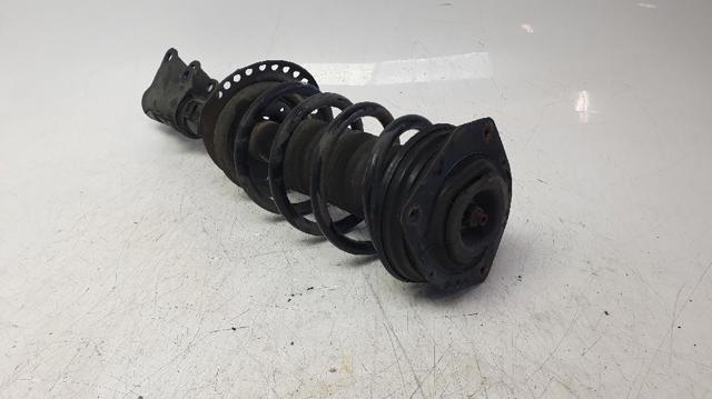 543020572R Amortiguador delantero  comprar en Reus