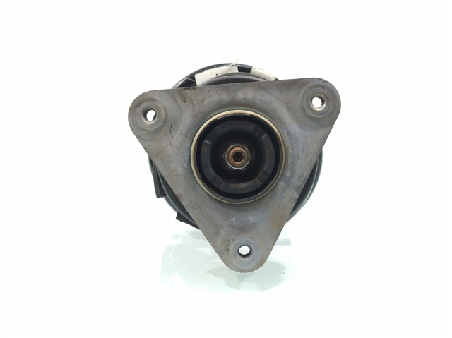 543020808R Amortiguador delantero  comprar en Reus