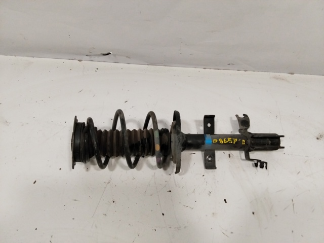 RENAULT 543021361R Amortiguador delantero  comprar en Albacete