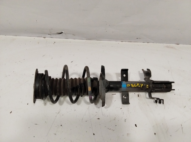 543021361R Amortiguador delantero  comprar en Pontevedra