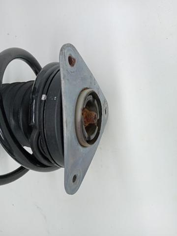 543021361R Amortiguador delantero  comprar en Reus