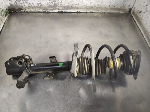 543021361R Renault (RVI)