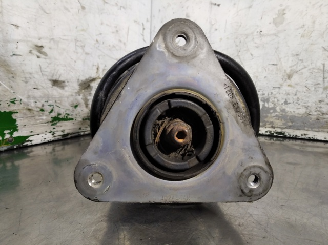 RENAULT 543021361R Amortiguador delantero  disponible Lugo
