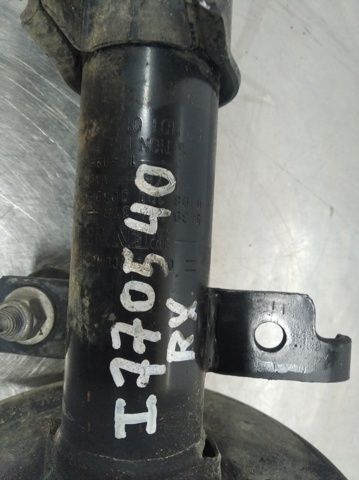 543021437R Renault (RVI)