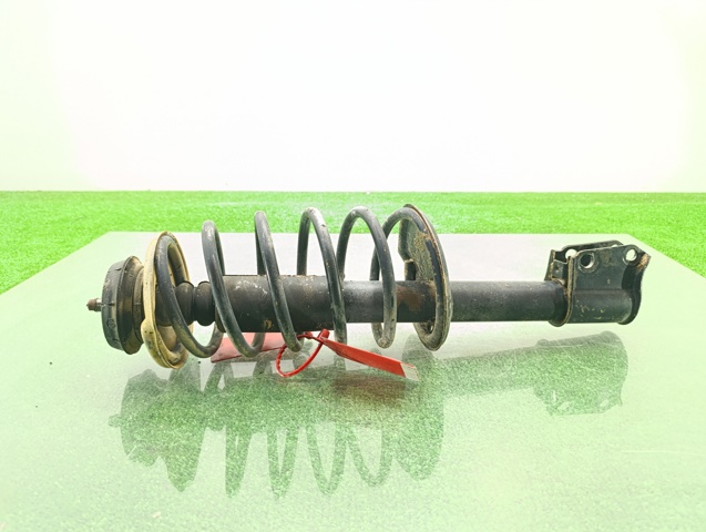 543021861R RENAULT Amortiguador delantero  disponible Ourense