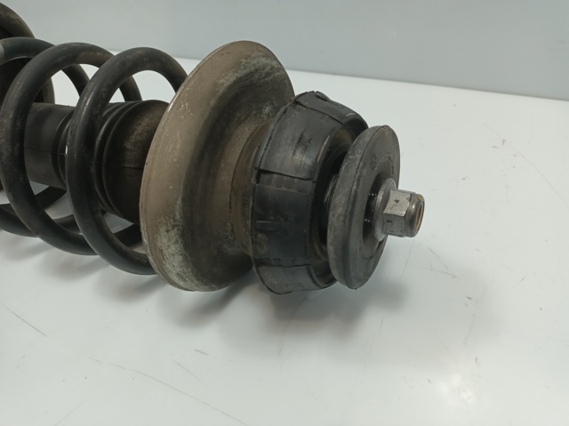 543022344R Amortiguador delantero  comprar en Reus