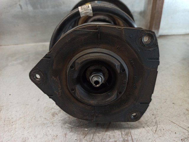 RENAULT 543022646R Amortiguador  en stock Salamanca