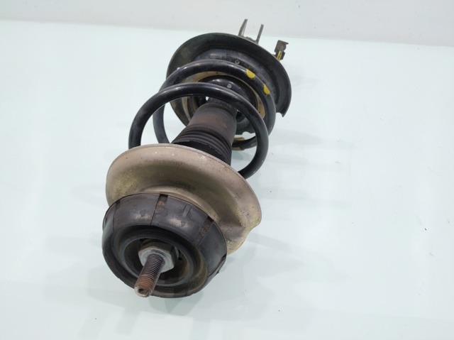 543022905R RENAULT Amortiguador  en stock Gandía