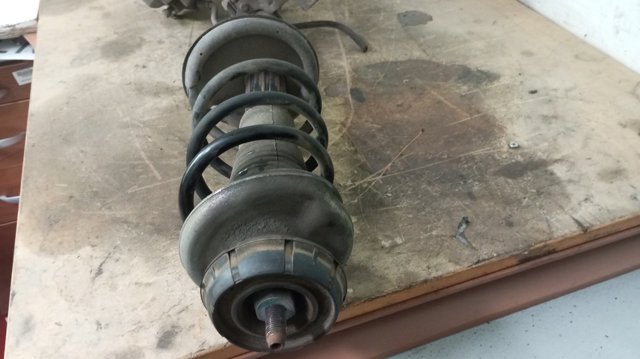 543026656R RENAULT Amortiguador delantero  comprar en Jaén