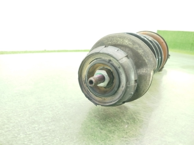 543026656R RENAULT Amortiguador delantero  comprar en Jaén