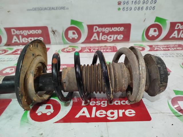 543029566R RENAULT Amortiguador delantero  comprar en Oviedo