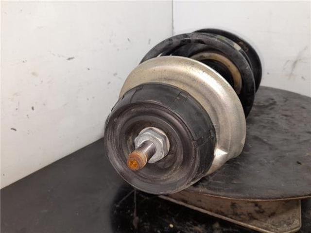 543029731R RENAULT Amortiguador  en stock Córdoba