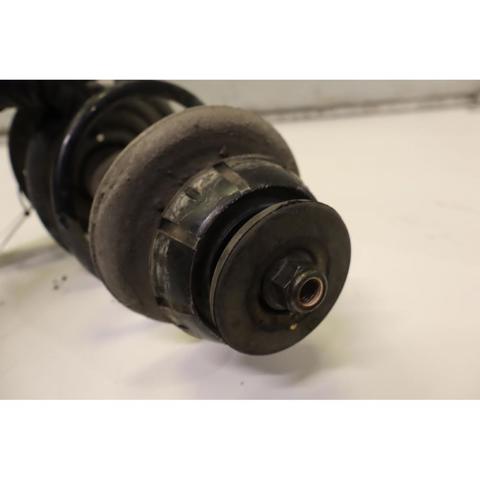 543029731R RENAULT Amortiguador comprar Bilbao