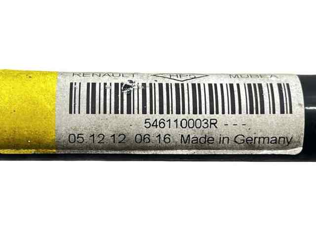 546110003R Renault (RVI)