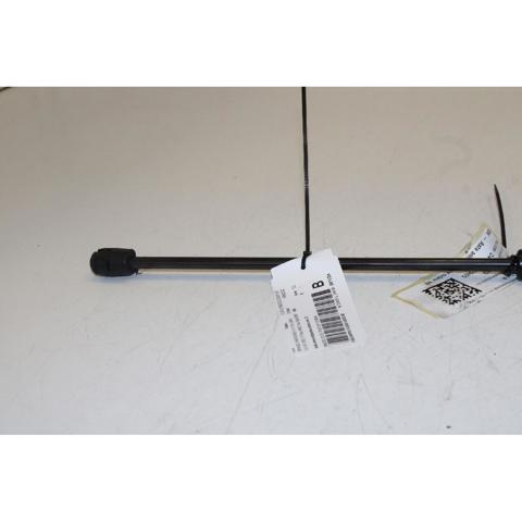 55113748AA CHRYSLER Amortiguador de capó  comprar en Oviedo