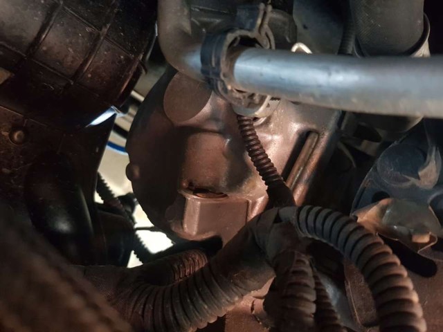 55194880 FIAT Compresor de aire acondicionado comprar Madrid