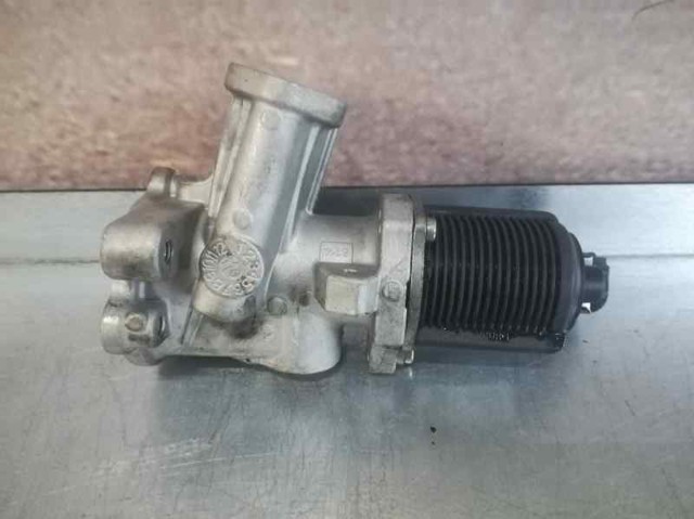EGR 55219499 FIAT
