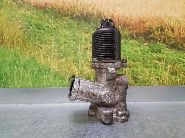 Válvula EGR 55219499 FIAT