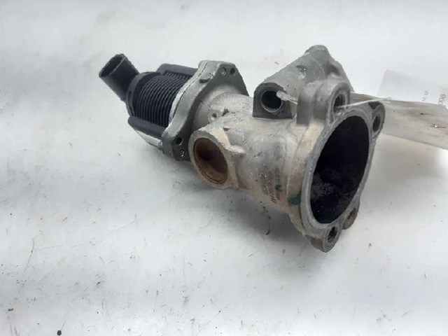 EGR 55219501 FIAT