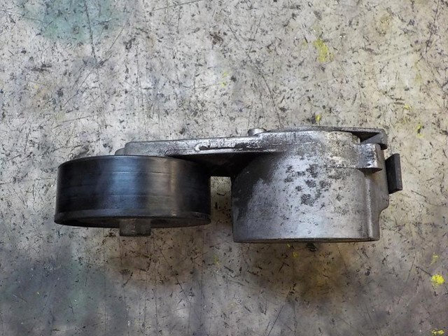 FIAT 55232827 Tensor de correa poli V comprar Pamplona