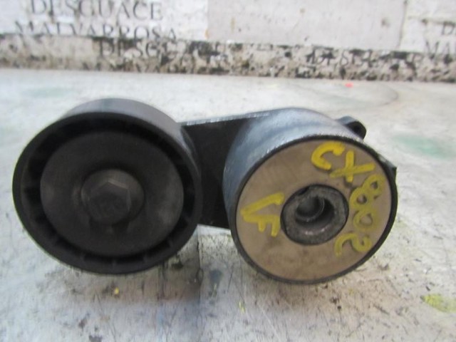 FIAT 55232827 Tensor de correa poli V comprar Pamplona