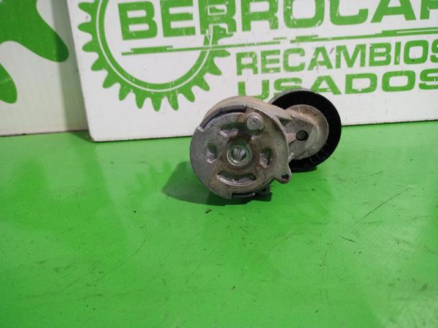 55244469 FIAT Tensor de correa poli V comprar Bilbao