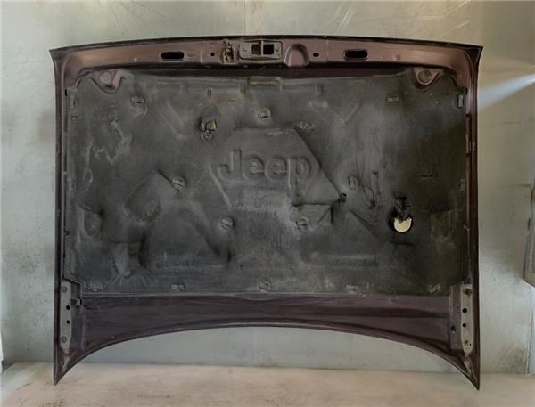 Jeep Grand Cherokee 1 Z