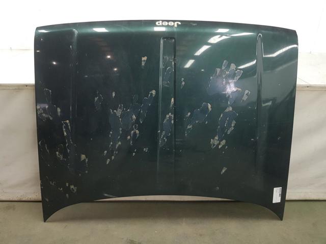 Jeep Grand Cherokee 1 Z