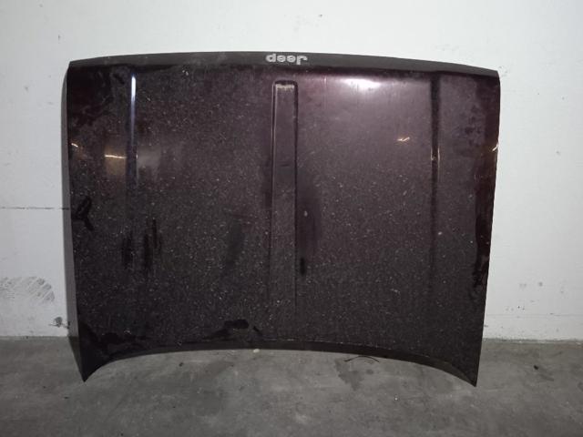 Jeep Grand Cherokee 1 Z