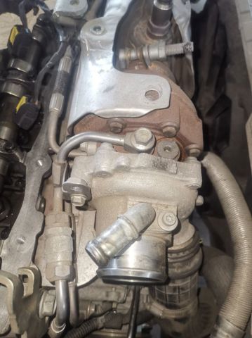 55493250 Opel